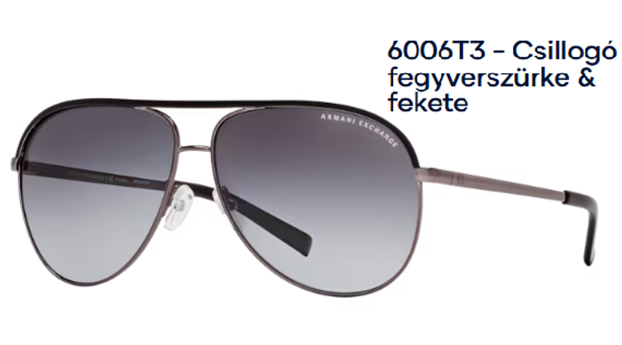 Image of Armani Exchange AX2002 6006T3 - Csillogó fegyverszürke & fekete polarizált unisex napszemüveg