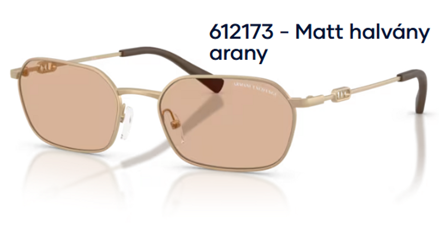 Image of Armani Exchange AX2056S 612173 - Matt halvány arany unisex napszemüveg