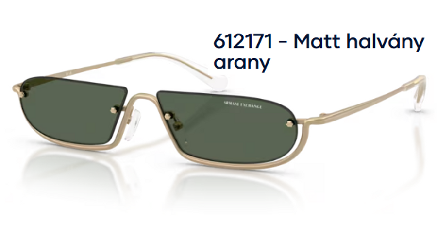 Image of Armani Exchange AX2058S 612171 - Matt halvány arany férfi napszemüveg