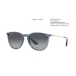 Kép 1/5 - RAY BAN 4171 ERIKA 6592T3 NAPSZEMÜVEG