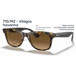 Kép 1/5 - RAY-BAN RB4640 710/M2 NAPSZEMÜVEG