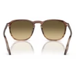 Kép 3/5 - RAY BAN RB2203 13920A - Csíkos barna és zöld NAPSZEMÜVEG