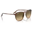 Kép 4/5 - RAY BAN RB2203 13920A - Csíkos barna és zöld NAPSZEMÜVEG