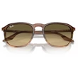 Kép 5/5 - RAY BAN RB2203 13920A - Csíkos barna és zöld NAPSZEMÜVEG