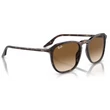 Kép 4/5 - RAY BAN RB2203 902/51 - Havana NAPSZEMÜVEG