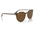 Kép 4/5 - RAY BAN RB2204 139357 - Havanna átlátszón NAPSZEMÜVEG