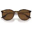 Kép 5/5 - RAY BAN RB2204 139357 - Havanna átlátszón NAPSZEMÜVEG