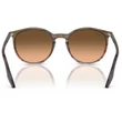 Kép 3/5 - RAY BAN RB2204 13953B - Csíkos barna és piros NAPSZEMÜVEG