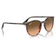 Kép 4/5 - RAY BAN RB2204 13953B - Csíkos barna és piros NAPSZEMÜVEG
