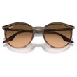 Kép 5/5 - RAY BAN RB2204 13953B - Csíkos barna és piros NAPSZEMÜVEG