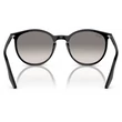 Kép 3/5 - RAY BAN RB2204 901/32 - Fekete NAPSZEMÜVEG