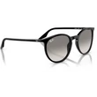 Kép 4/5 - RAY BAN RB2204 901/32 - Fekete NAPSZEMÜVEG