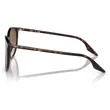 Kép 2/5 - RAY BAN RB2204 902/51 - Havana NAPSZEMÜVEG