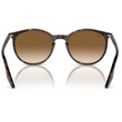 Kép 3/5 - RAY BAN RB2204 902/51 - Havana NAPSZEMÜVEG