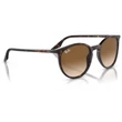 Kép 4/5 - RAY BAN RB2204 902/51 - Havana NAPSZEMÜVEG