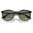 Kép 6/6 - RAY BAN RB2204 902/GJ - Havana TRANSITIONS NAPSZEMÜVEG