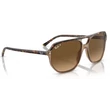Kép 4/5 - RAY BAN RB2205 BILL ONE 1292M2 - Havanna átlátszón barna NAPSZEMÜVEG