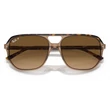 Kép 5/5 - RAY BAN RB2205 BILL ONE 1292M2 - Havanna átlátszón barna NAPSZEMÜVEG
