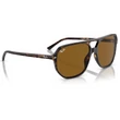 Kép 4/5 - RAY BAN RB2205 BILL ONE 902/33 - Havana NAPSZEMÜVEG