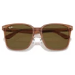 Kép 5/5 - RAY BAN RB2206D 663673 - Áttetsző barna NAPSZEMÜVEG