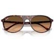 Kép 5/5 - RAY-BAN RB2215 14293B - Havanna vörös teknős napszemüveg