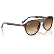 Kép 4/5 - RAY-BAN RB2215 902/51 - Havana napszemüveg