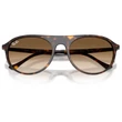 Kép 5/5 - RAY-BAN RB2215 902/51 - Havana napszemüveg
