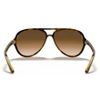 Kép 3/5 - Ray-Ban RB4125 CATS 5000 710/51 LIGHT HAVANA Napszemüveg