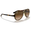 Kép 4/5 - Ray-Ban RB4125 CATS 5000 710/51 LIGHT HAVANA Napszemüveg
