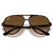 Kép 5/5 - Ray-Ban RB4125 CATS 5000 710/51 LIGHT HAVANA Napszemüveg