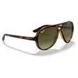 Kép 4/5 - Ray-Ban RB4125 CATS 5000 710/A6  HAVANA Napszemüveg