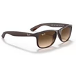 Kép 4/5 - RAY-BAN RB4202 607313 ANDY NAPSZEMÜVEG