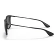 Kép 2/5 - RAY-BAN RB4221 622/8G NAPSZEMÜVEG