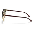 Kép 2/5 - Ray-Ban RB4246 990 CLUBROUND Napszemüveg