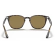 Kép 3/5 - RAY-BAN RB4258 710/73 SHINY HAVANA NAPSZEMÜVEG