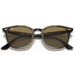Kép 5/5 - RAY-BAN RB4258 710/73 SHINY HAVANA NAPSZEMÜVEG