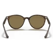 Kép 3/5 - RAY-BAN RB4305 710/73 NAPSZEMÜVEG