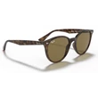 Kép 4/5 - RAY-BAN RB4305 710/73 NAPSZEMÜVEG