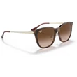 Kép 4/5 - RAY BAN RB4333D 710/13 - Világos havanna NAPSZEMÜVEG