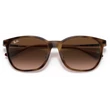Kép 5/5 - RAY BAN RB4333D 710/13 - Világos havanna NAPSZEMÜVEG