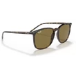 Kép 4/5 - RAY-BAN RB4387 710/73 NAPSZEMÜVEG