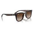 Kép 4/5 - RAY BAN  RB4420 710/13 - Havana NAPSZEMÜVEG