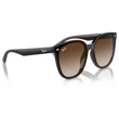 Kép 4/5 - RAY-BAN RB4423D 714/13 - Áttetsző barna NAPSZEMÜVEG
