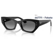 Kép 1/5 - RAY-BAN RB4430 ZENA 667711 - Fekete NAPSZEMÜVEG