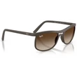 Kép 4/5 - RAY-BAN RB4452 612413 - Homokbarna napszemüveg Kép 4/5 - RAY-BAN RB4452 612413 - Homokbarna napszemüveg