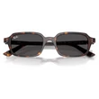 Kép 5/5 - RAY-BAN RB4455 ZURI 135987 - Havana napszemüveg