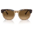 Kép 5/5 - RAY BAN RB0298S MEGA HAWKEYE 1292M2 - Havanna átlátszón barna NAPSZEMÜVEG