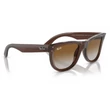 Kép 4/5 - RAY-BAN RB0502S WAYFARER REVERSE 6709CB - Áttetsző barna NAPSZEMÜVEG