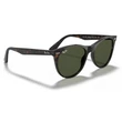 Kép 4/5 - RAY-BAN RB2185 WAYFARER II 902/31 NAPSZEMÜVEG