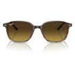 Kép 5/5 - RAY BAN RB2193 LEONARD 138085 - Csíkos barna és piros NAPSZEMÜVEG